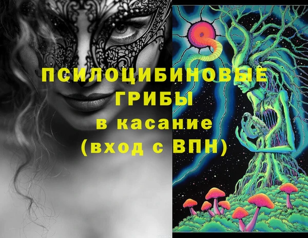 каннабис Аркадак