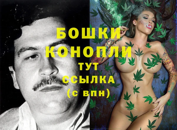 PSILOCYBIN Балахна