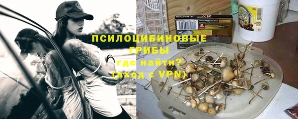 PSILOCYBIN Балахна