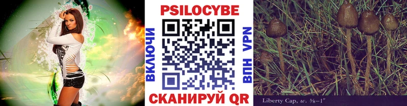 Псилоцибиновые грибы Psilocybine cubensis  Усть-Лабинск 
